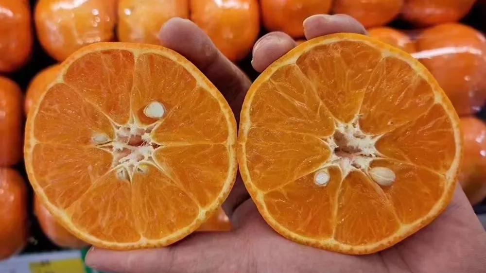 开水果店生意好一年能赚多少钱,高端水果店利润率一般是多少