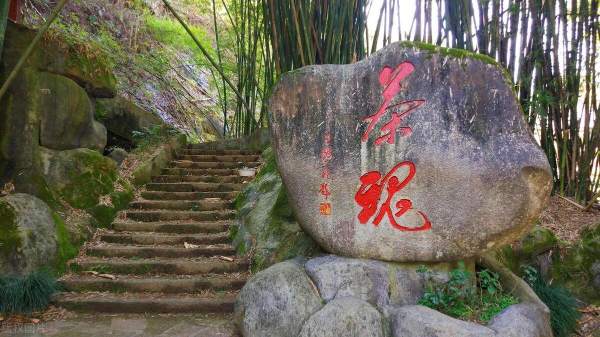 武夷山体验茶文化的地方,福建武夷山茶文化旅游景点