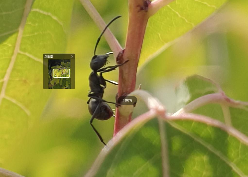 iqooneo7竞速版深度测评,iqooneo7竞速版怎么样值得入手吗