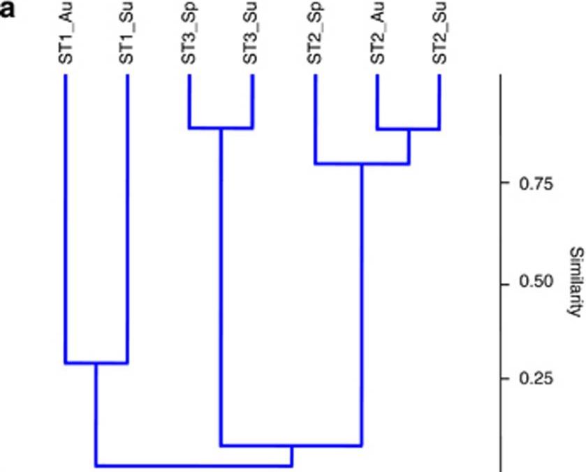 沿海微生物垫中，古细菌多样性的16SrRNA基因标签测序分析