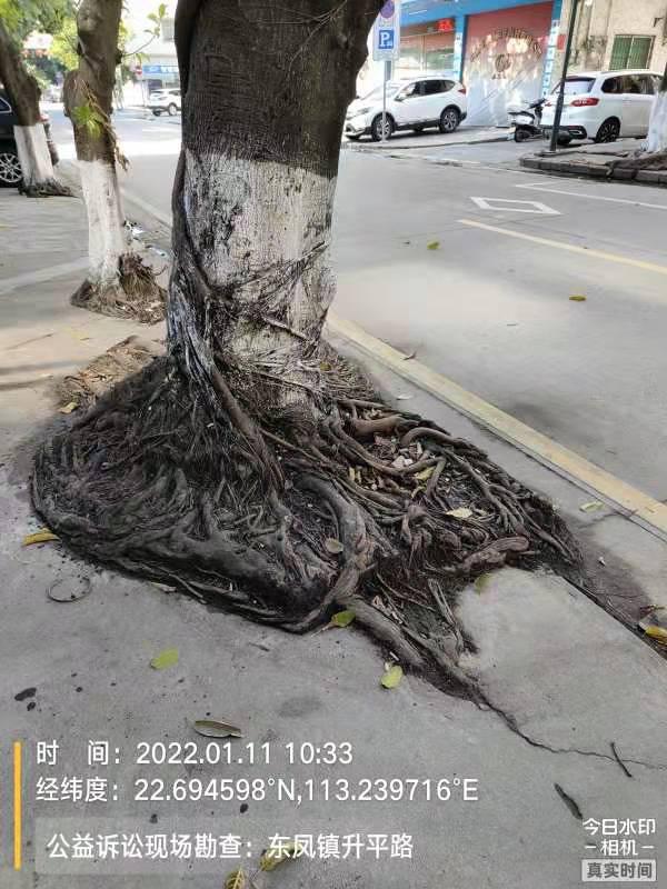 检察公益诉讼发言,市人大代表点赞我院公诉工作