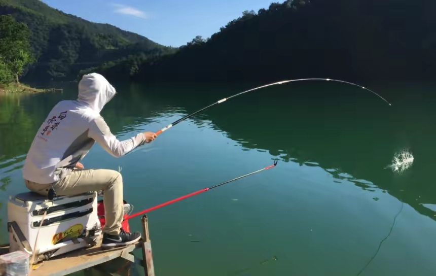 有鱼无口是什么情况,有鱼没口用什么饵料