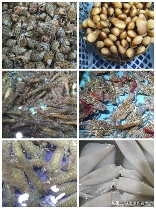 海岸线：海南岛西海岸之儋州——找寻隐秘在千年时光里的独特美景