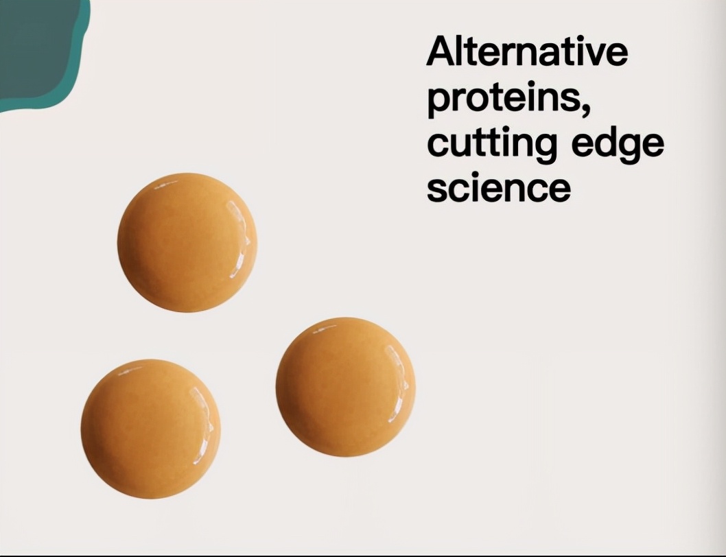 世界食品品质大奖名单,解析2019世界食品创新奖入围产品