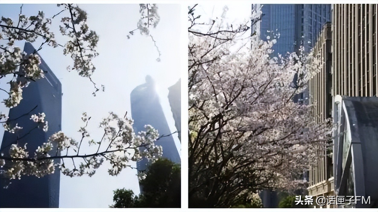 永不停歇的陆家嘴金融城,安静的陆家嘴