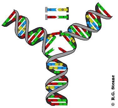 生物学是什么,生物学是什么学科