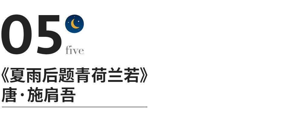 人生最美20首诗,15首最美禅意诗