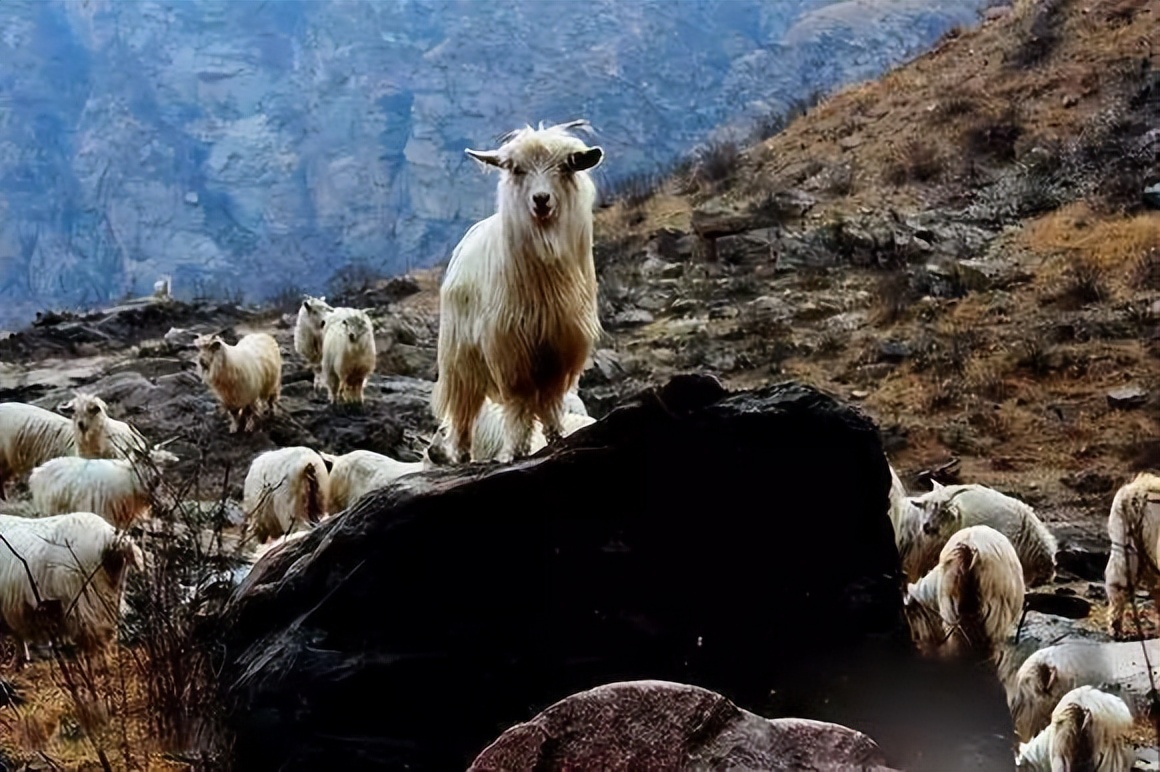 一日一村落山西最美古村,山西最迷人的十个村