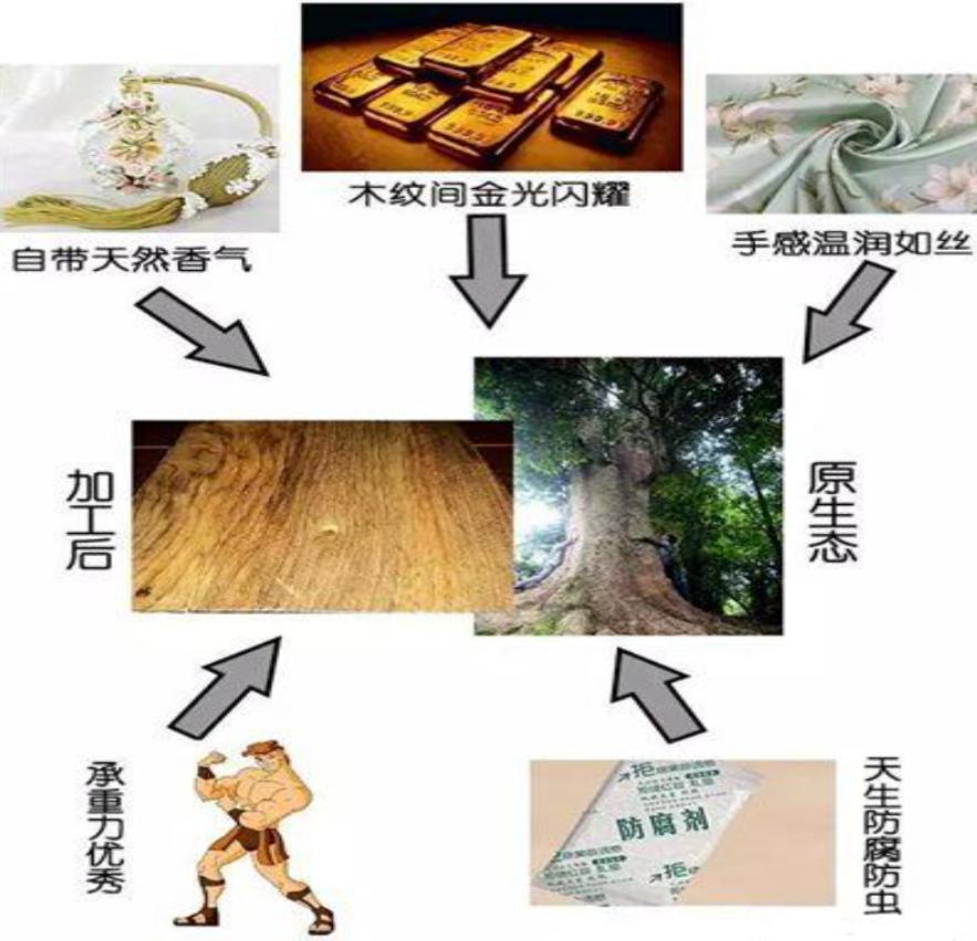 价值100万的金丝楠木为啥没人种植,金丝楠木种植三年价值多少