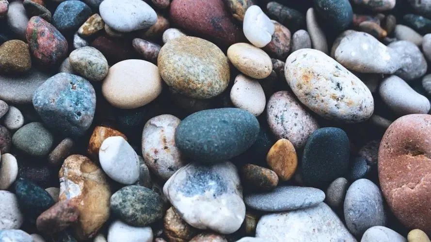 第八单元习作那次玩得真高兴300字,三年级作文我那次玩得真高兴300字