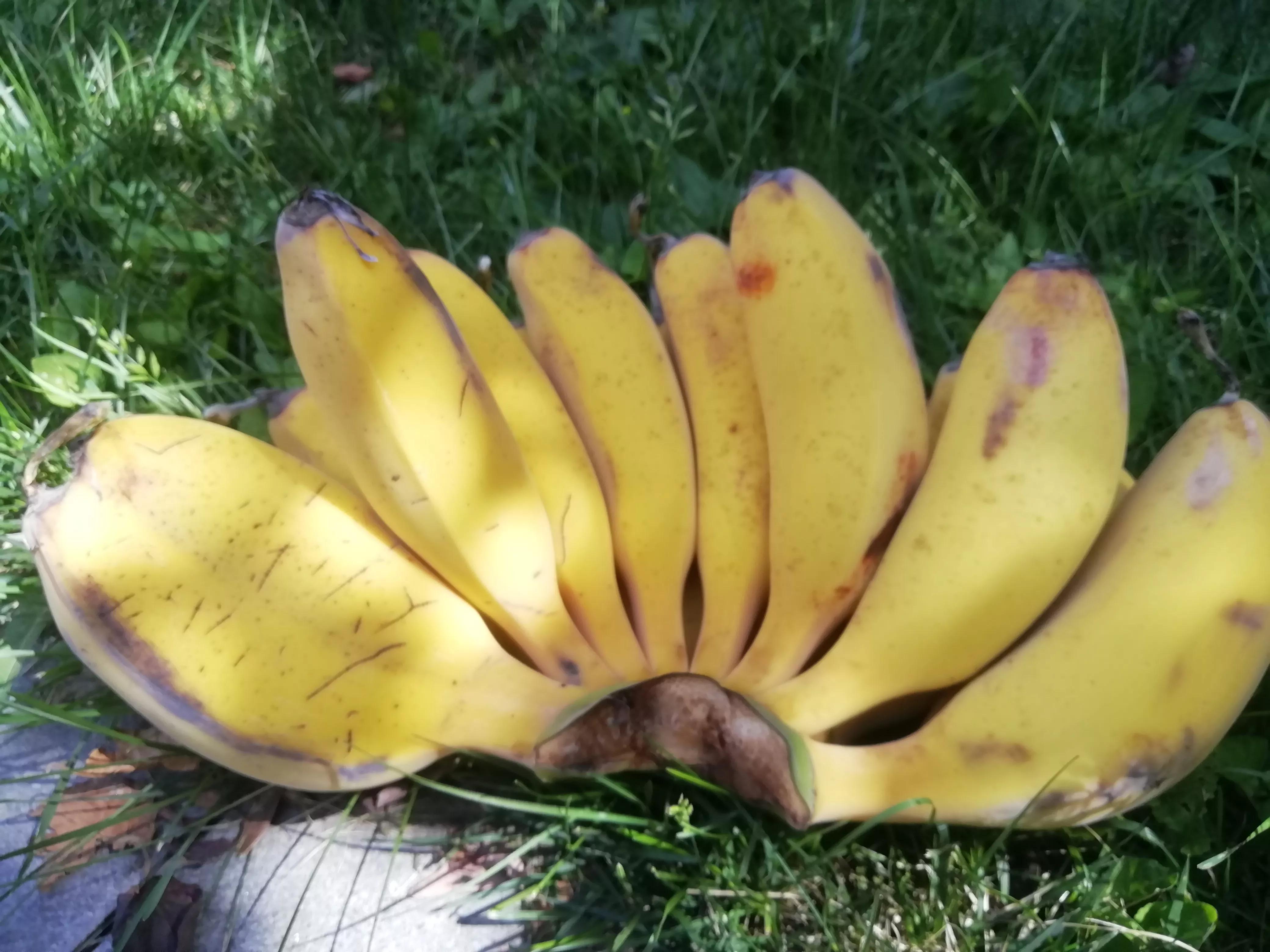 端午节收到的最好的礼物,端午节送什么礼物给老丈人