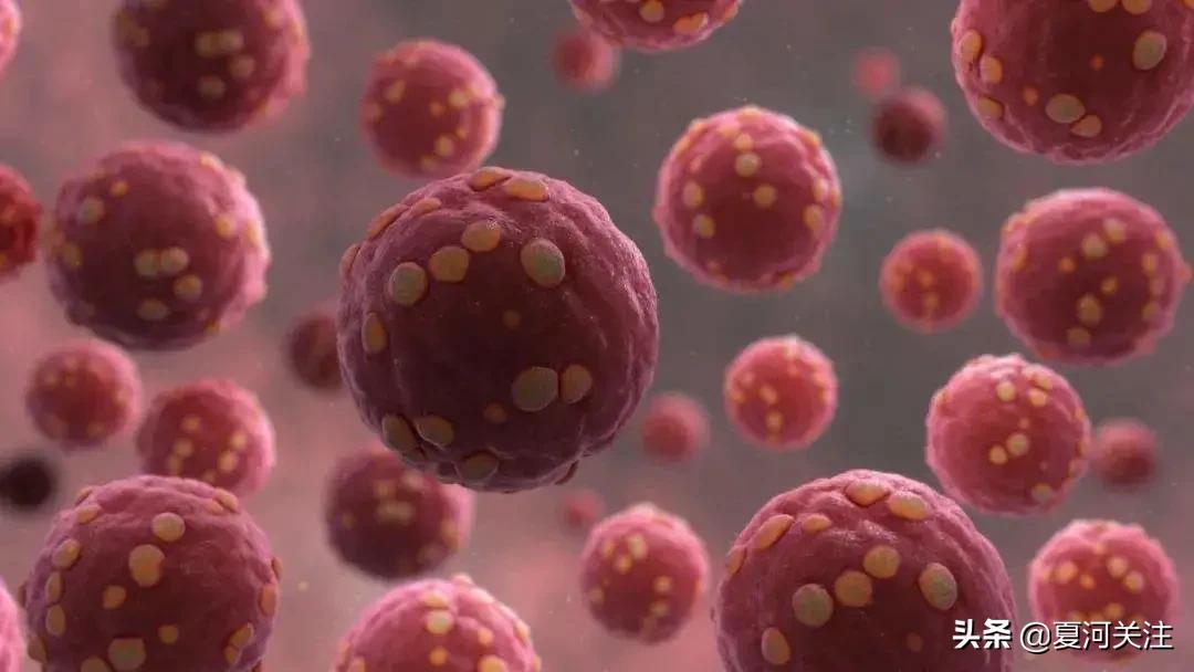 预防流行性出血热视频,幼儿园出血热疾病预防