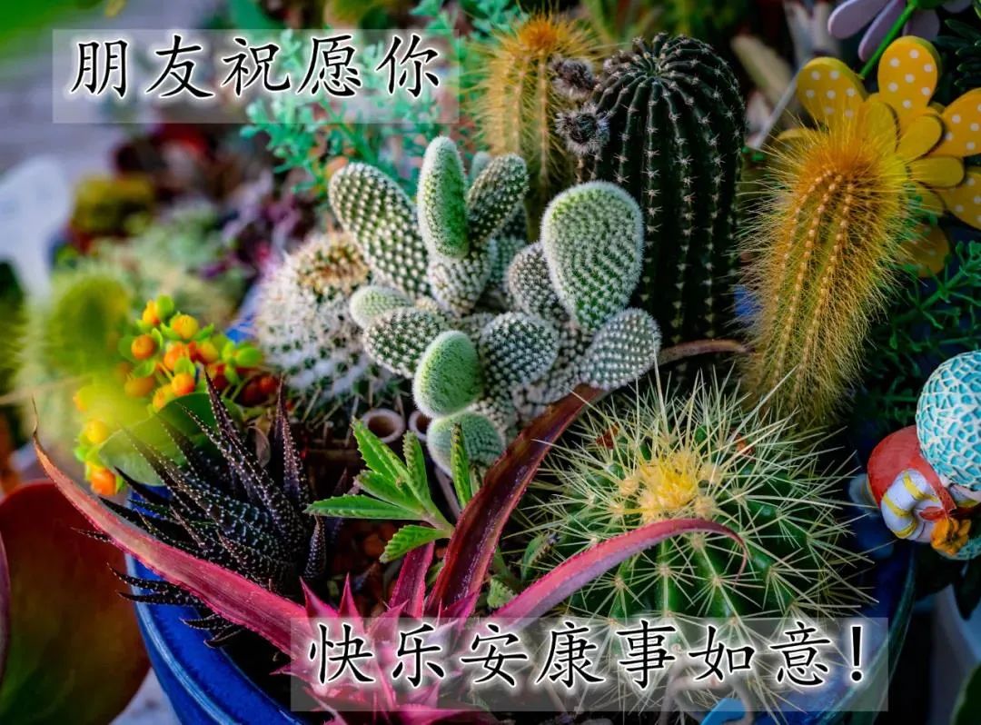 最新最美雨天早上好问候文字图片,夏日里最美的早晨问候图片大全