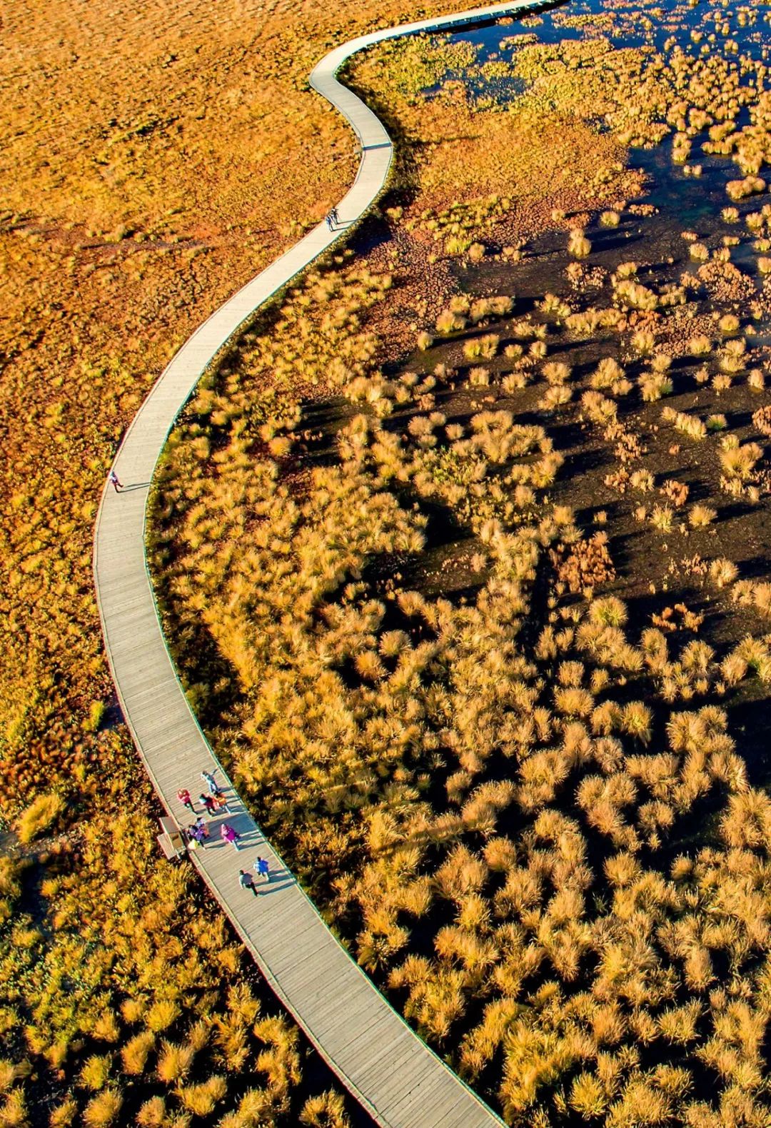 川西阿坝旅游详细攻略地图,川西阿坝旅游攻略三天