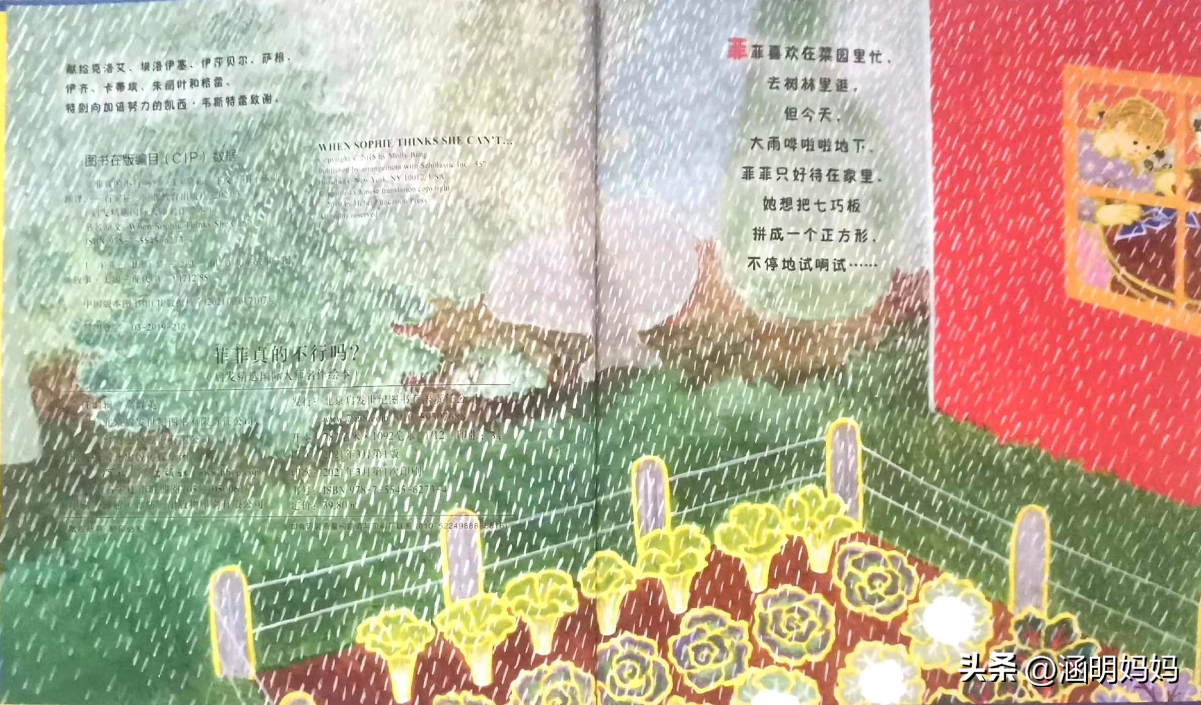 绘本菲菲的选择,绘本菲菲真的不行吗教案