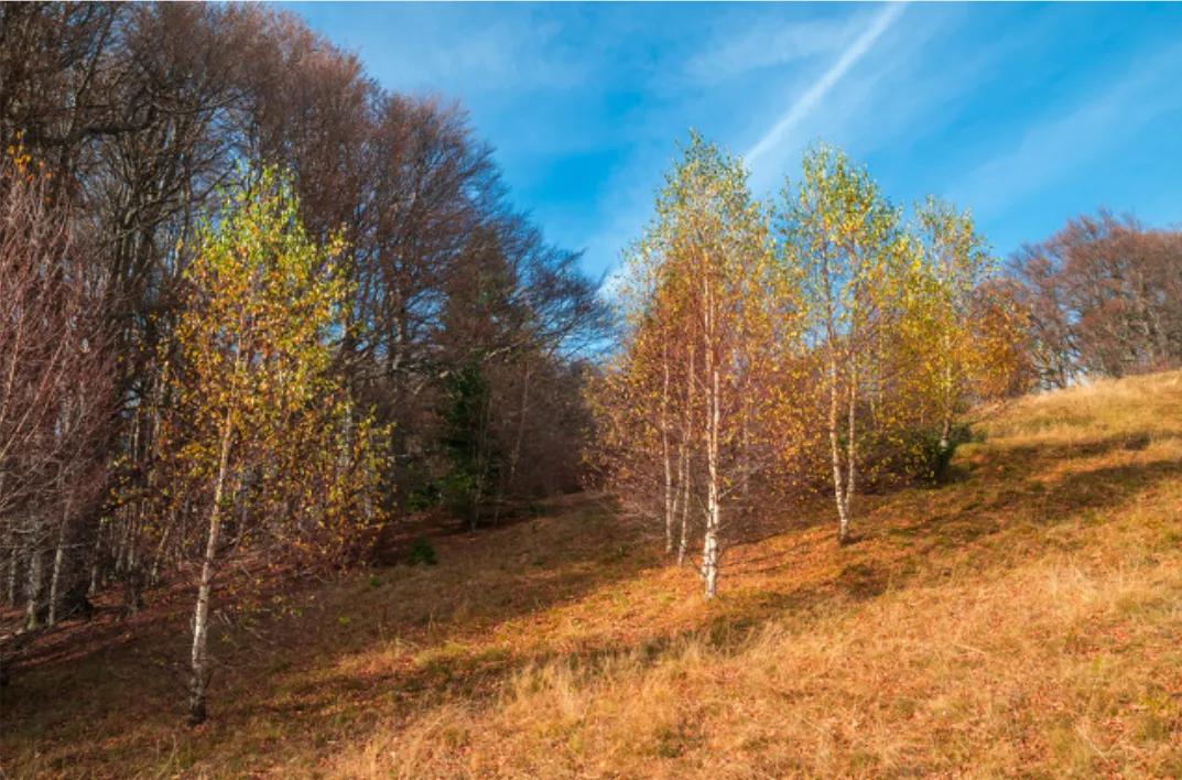 创业绝佳时机,风口是否是好的创业机会