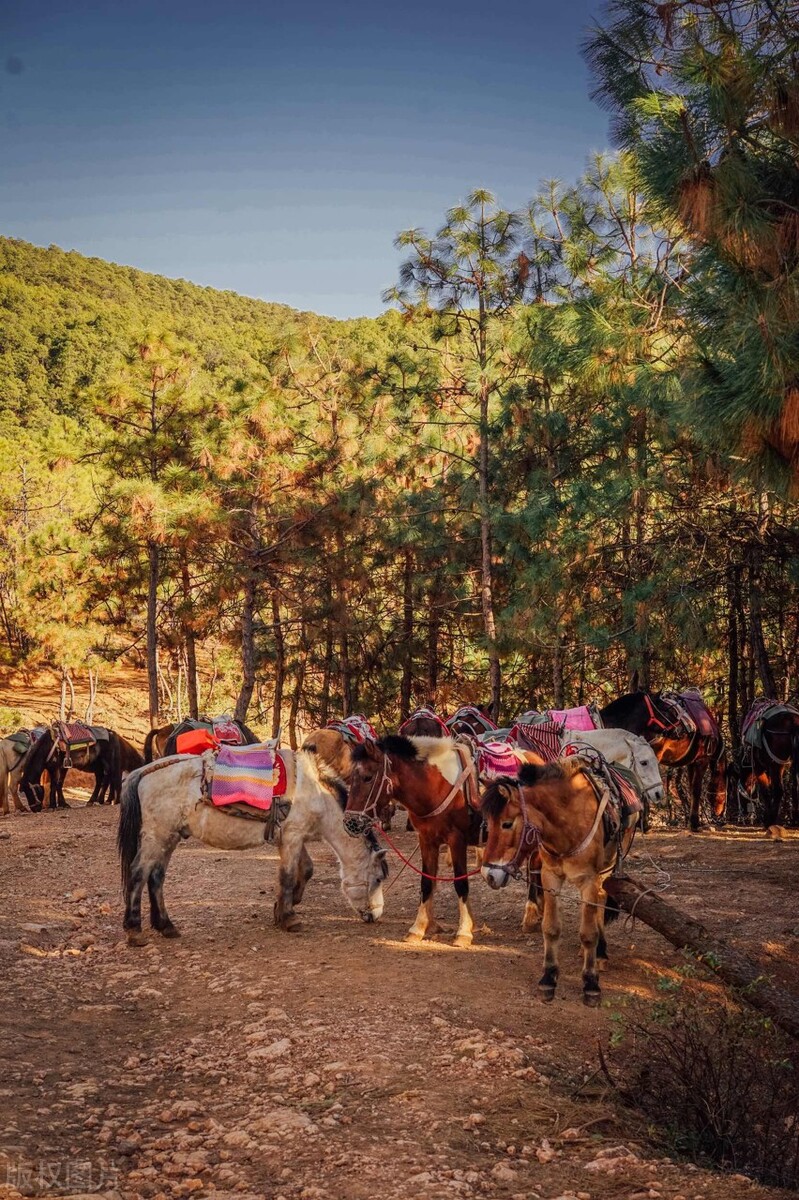 国内最值得自驾的七条绝美路线,此生必去的中国100个攻略