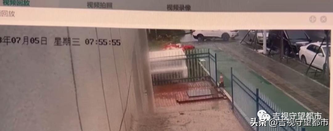 车停在小区被树砸了谁负责,车停路边被树砸伤谁负责