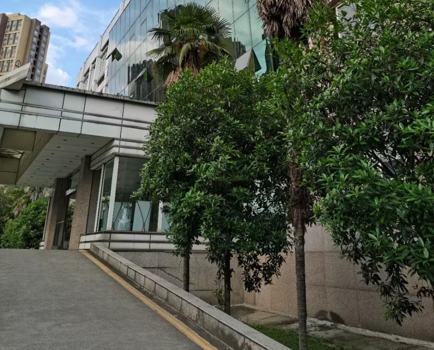 受控于父母的成年人