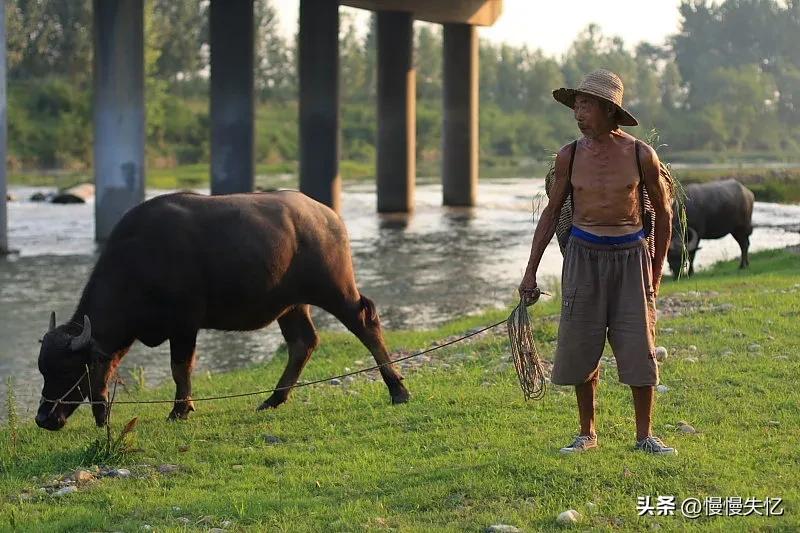 李白意境最美诗,李白五绝诗水平