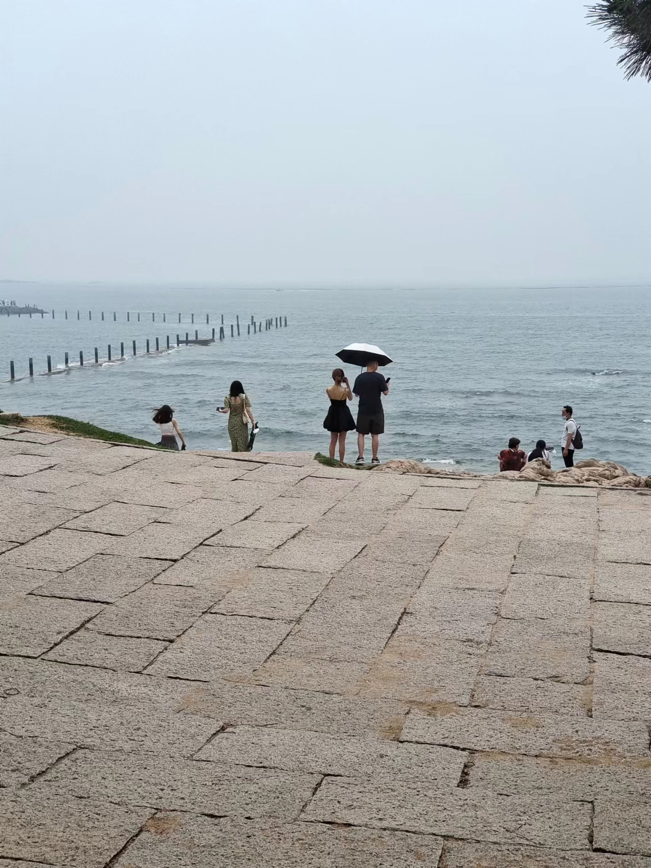 青岛今天到底有多冷,青岛今天的天气真热图片
