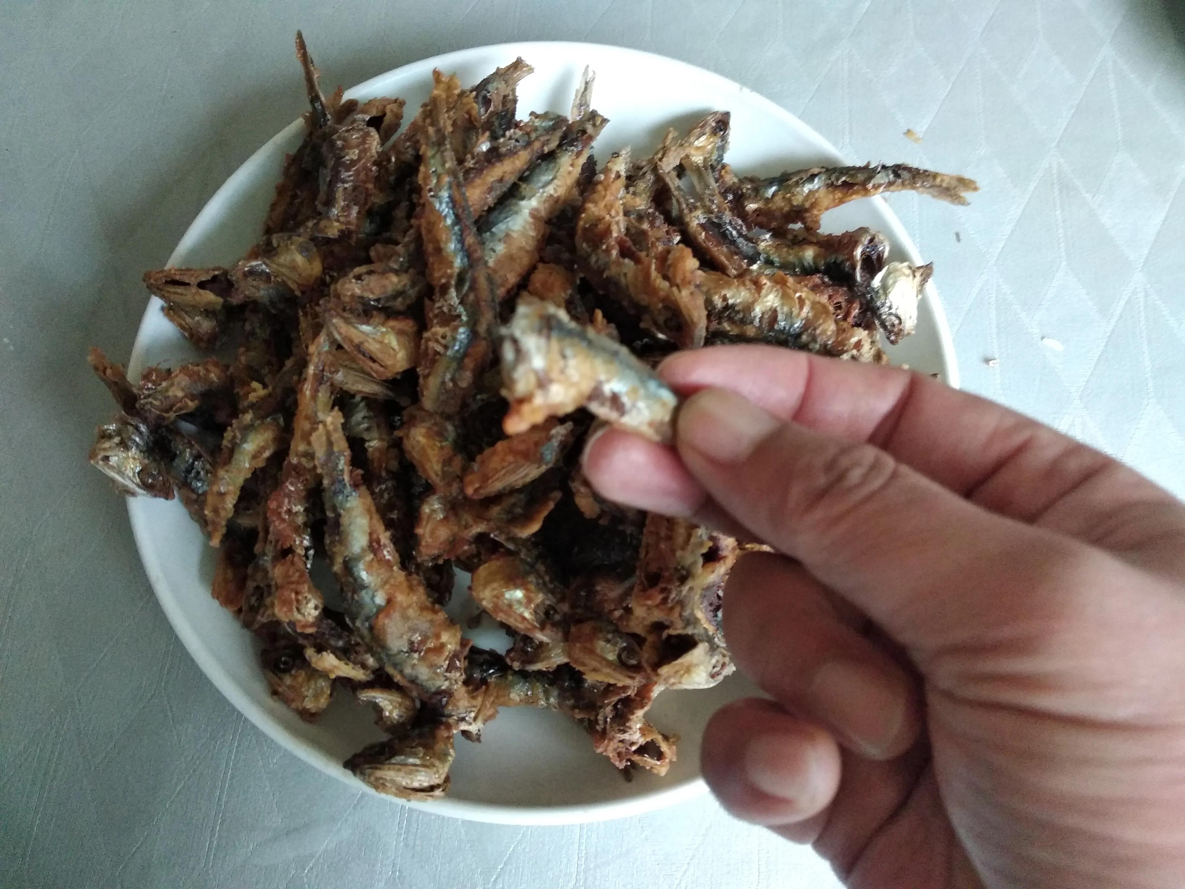 15种常见的海鱼,100种常见食用海鱼图谱