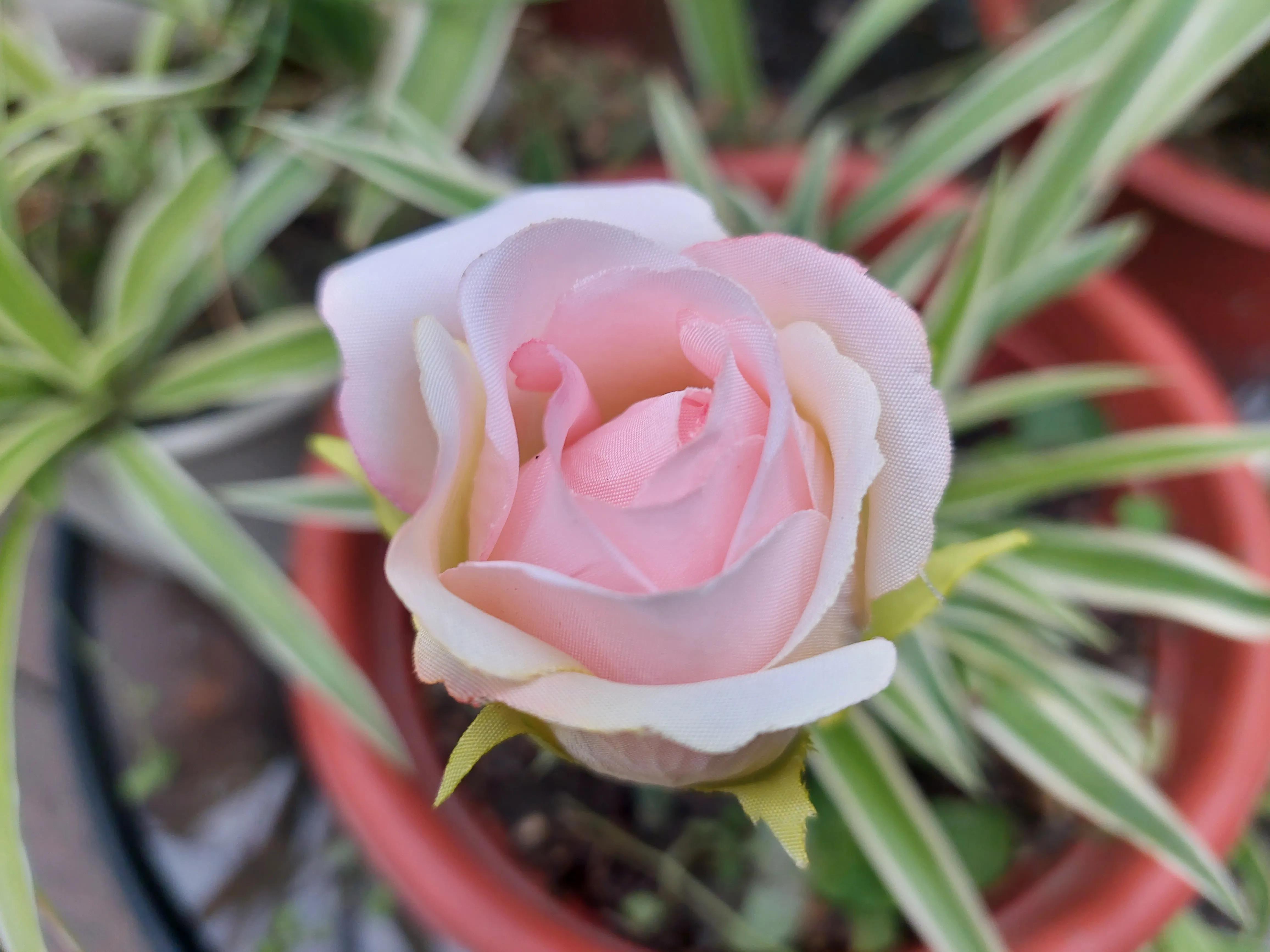 场上一分钟足球,足球一分钟最多进多少球