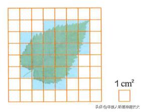 数学课本六年级下册第88~89页部分题目解析（2023年版）