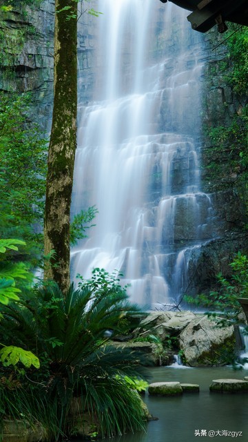 江苏景区免费开放通知,江苏三免卡能免费旅游哪些景区