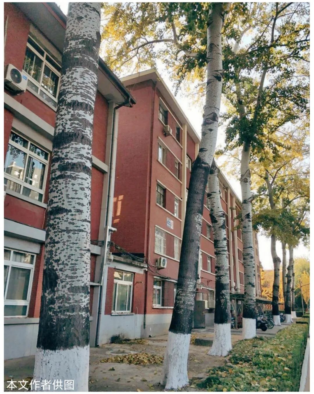 营院深深几多情:八九十年代海军大院工作生活片段珍忆