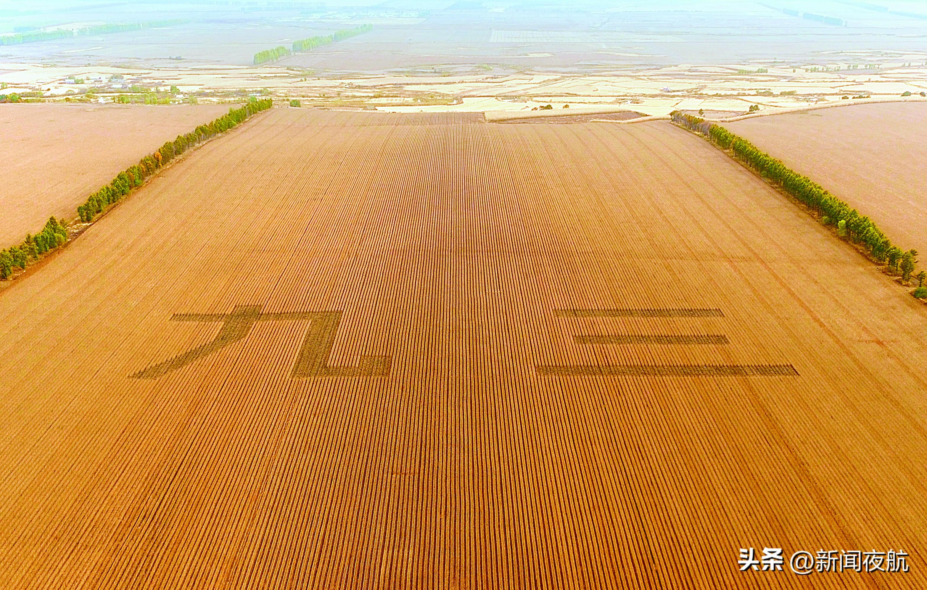 鎵庢牴榛戝湡绛戞ⅵ榫欐睙,鎵庢牴榛戝湡