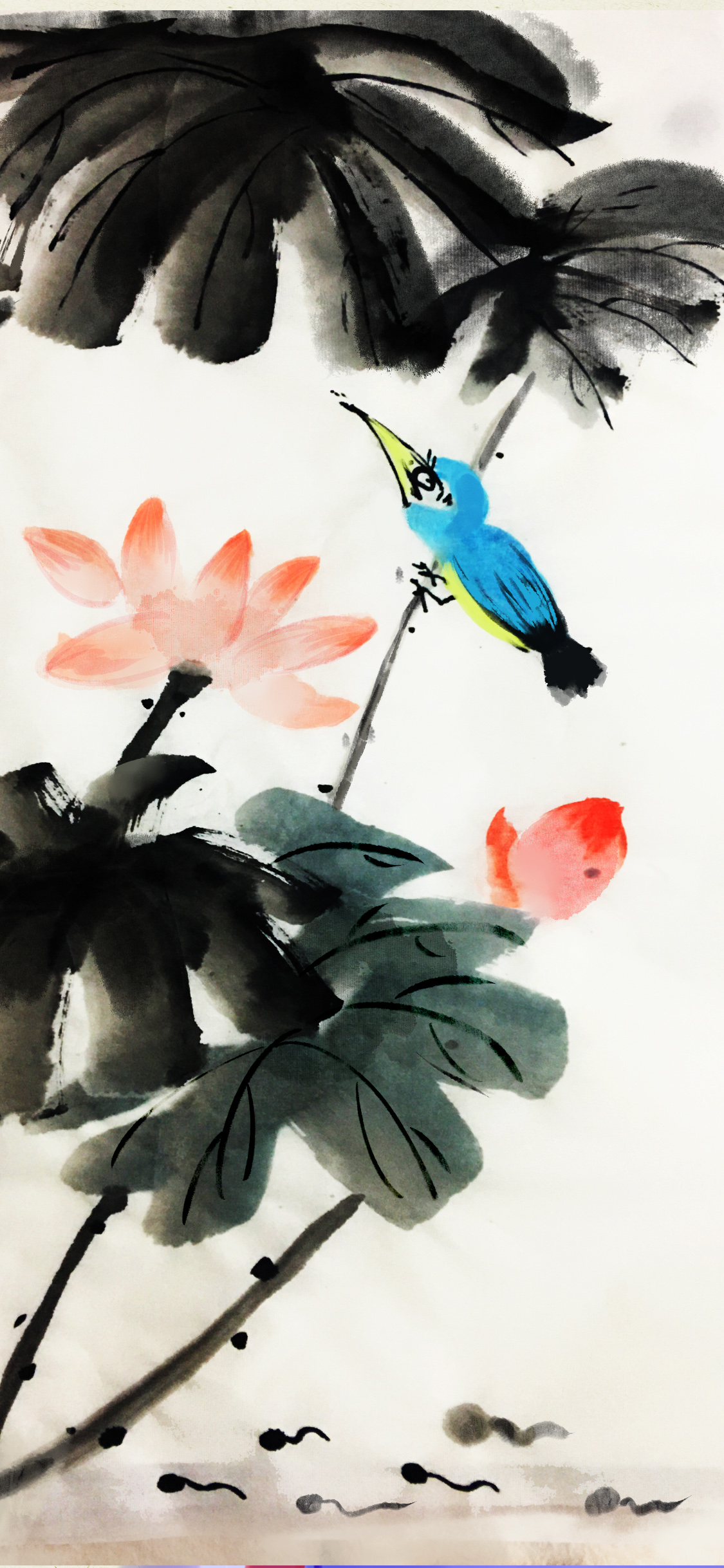 手机型号壁纸图片,169手机壁纸尺寸