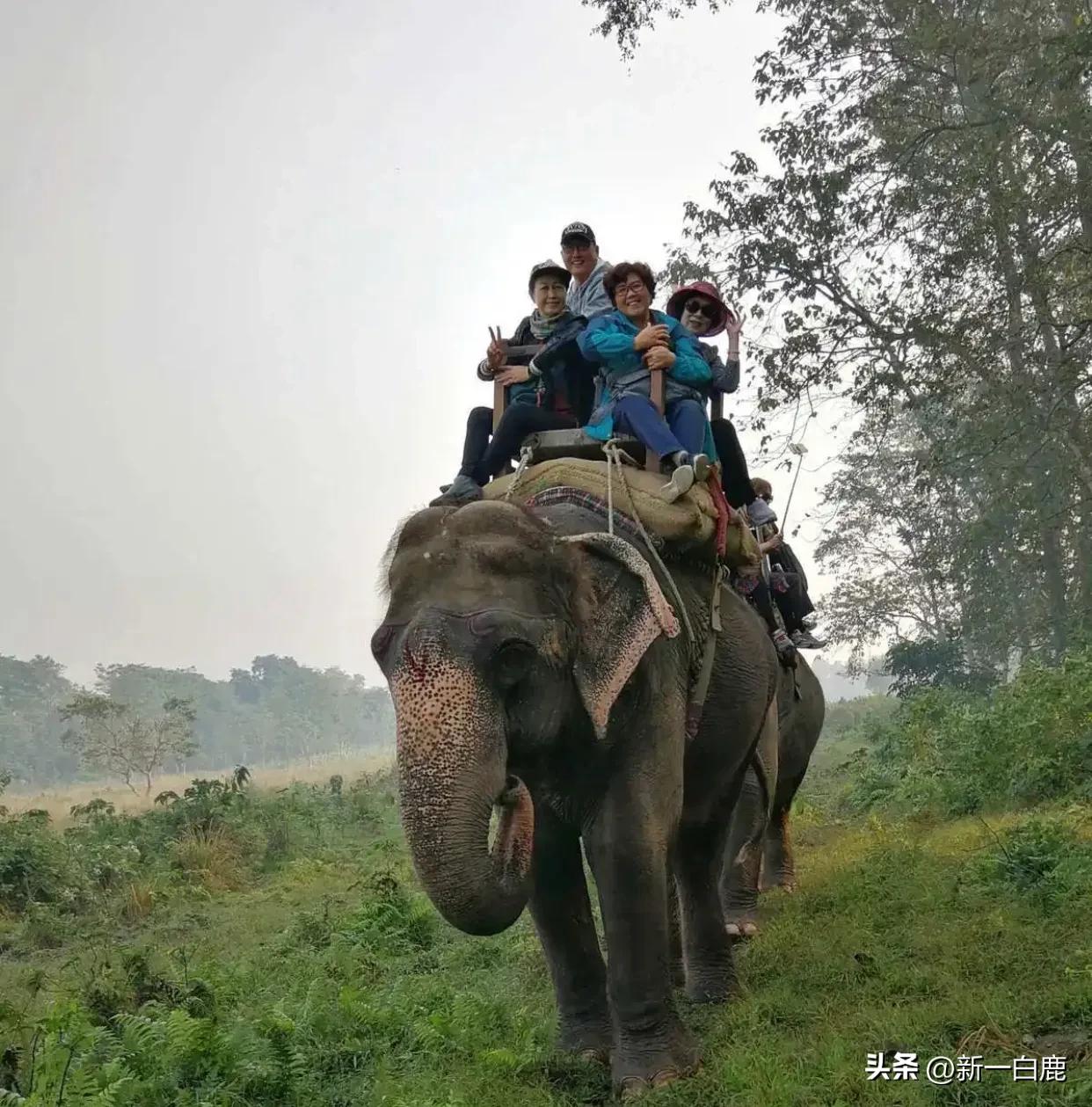 印度与哪几个国家关系好,印度和中国在世界地图的位置