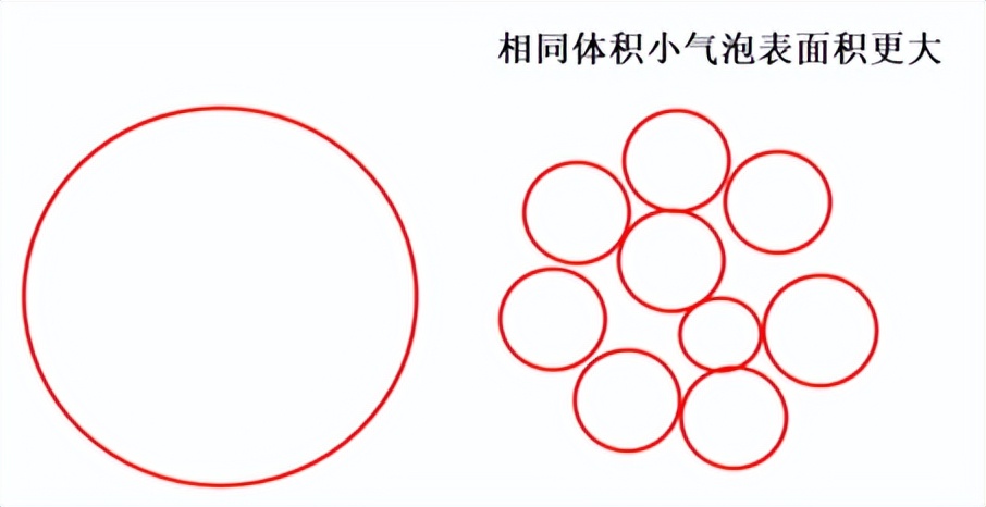 海缸只养鱼不用蛋分器行吗,海缸蛋分器工作原理