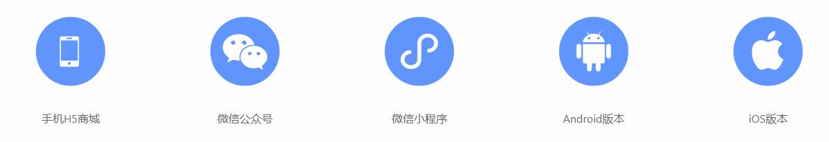 b2b商城系统盈利模式,b2b在线商城分销系统