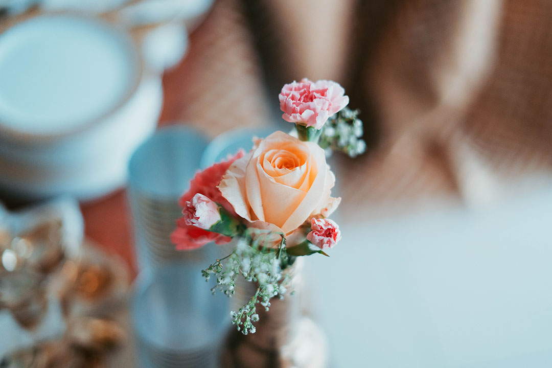 母亲节花的花语,康乃馨的花语是什么母亲节