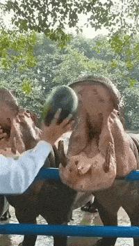 “24岁的女友发育成这样算正常吗？”哈哈哈朋友都说她是我兄弟！