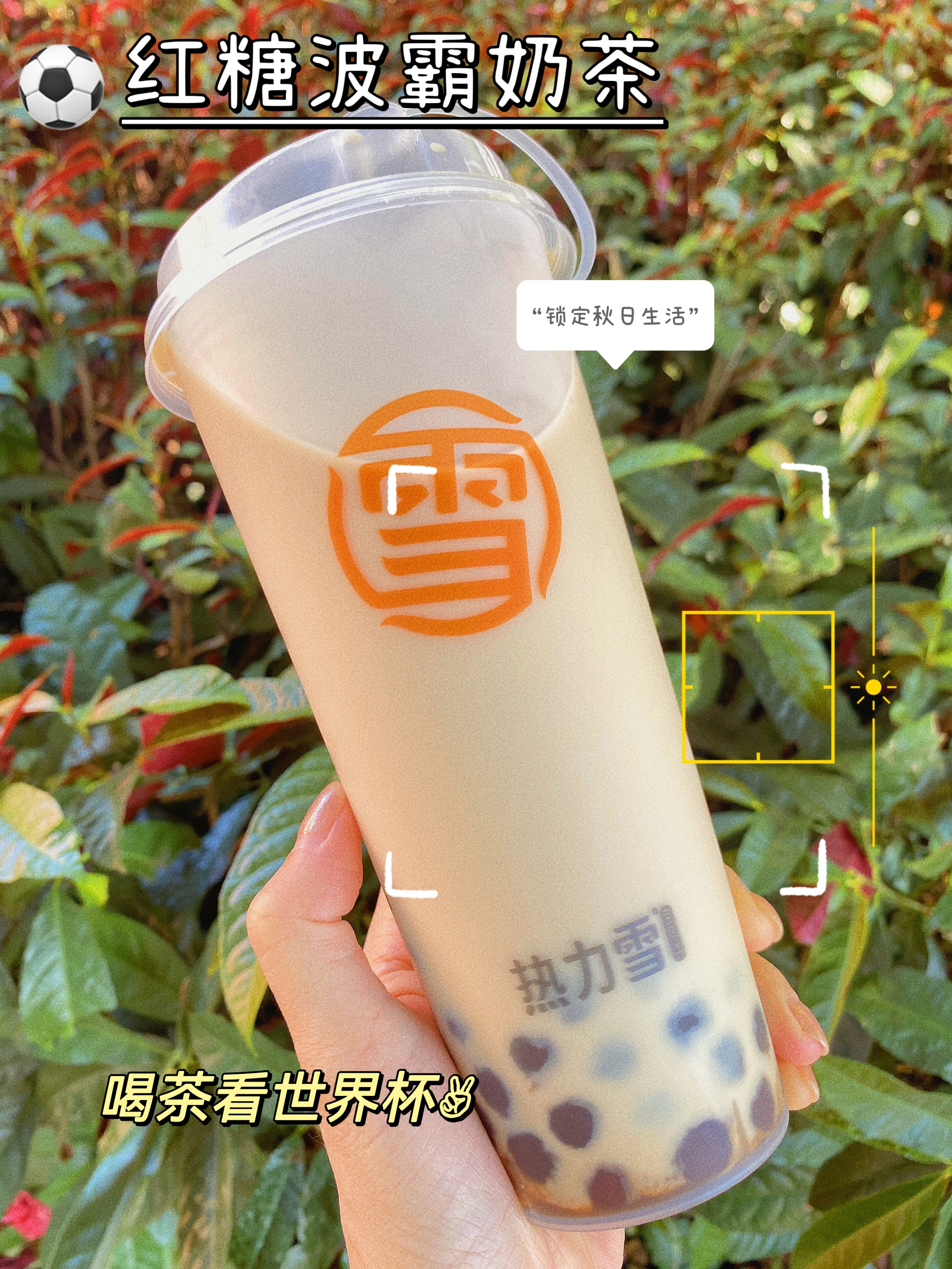 鐑姏闆ザ鑼跺簵,濂惰尪搴楀皬绾功鎺ㄥ箍