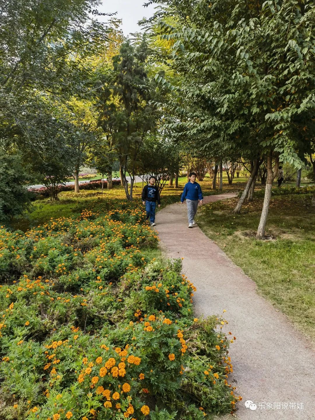 时间都去哪儿了小品完整版,时间都去哪儿了感悟