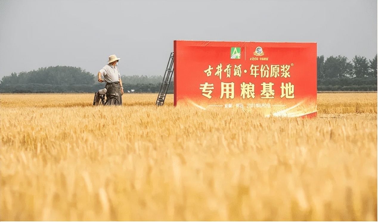 古井贡酒1979年50度价格一览表,古井贡酒1979是核心产品吗