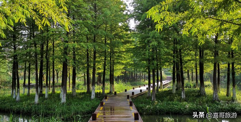 常州红梅公园,常州一日游必去景点推荐