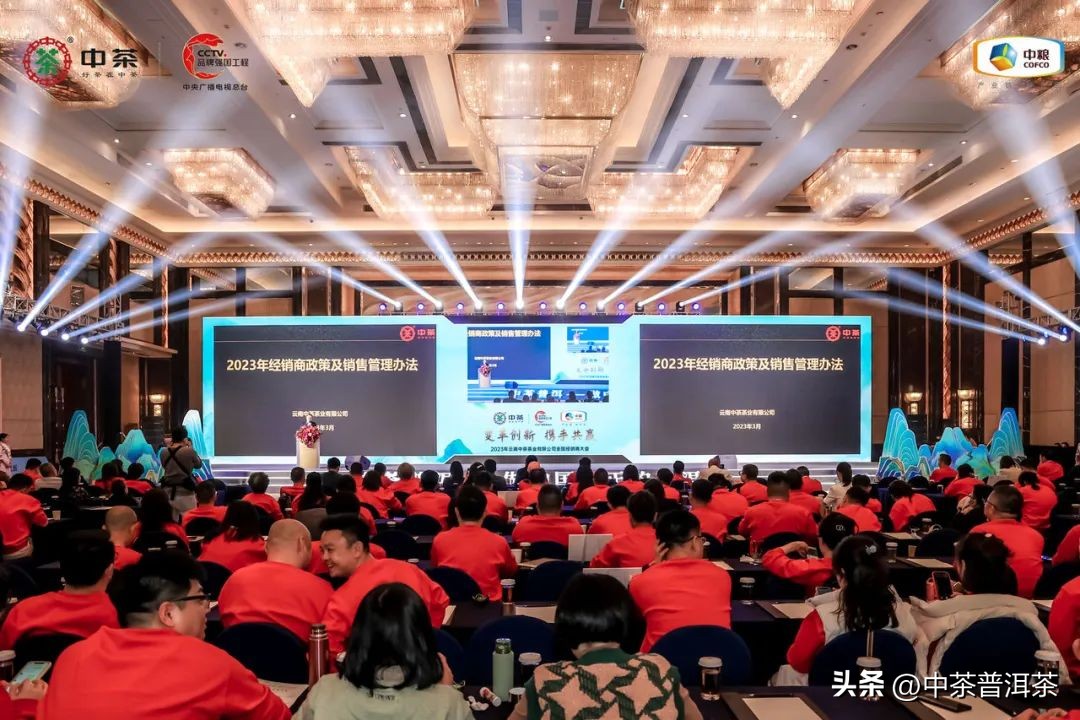 中茶普洱茶经销商信息大会,中茶2024年经销商大会