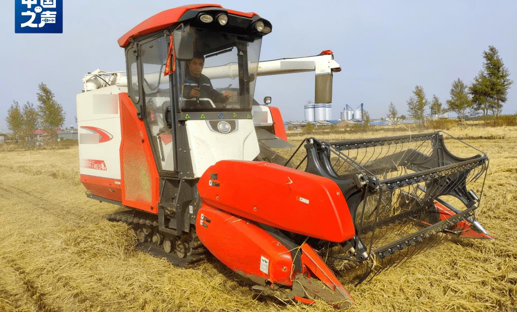 “你是黑龙江那个二亮吗？”他当起了大米带货主播