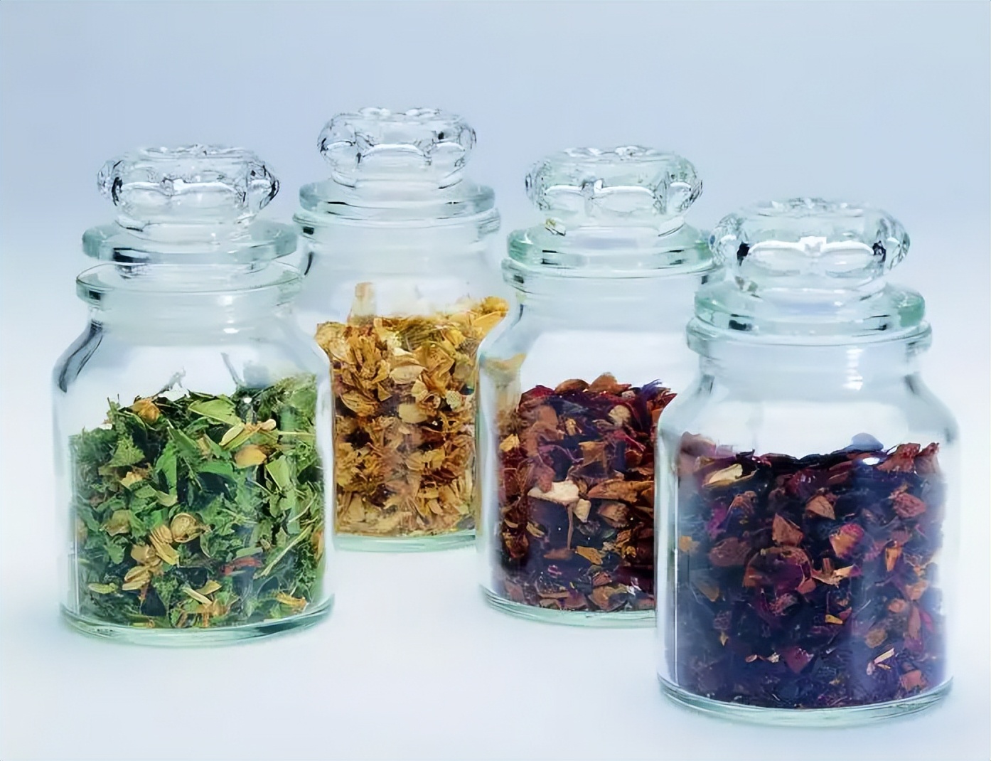 喝了那么多年的绿茶,平常喝的花茶是哪种花茶