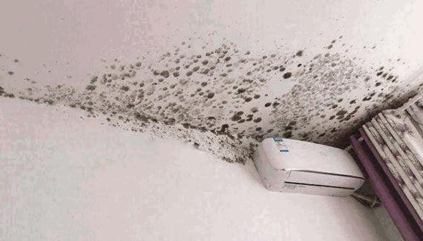 屋里潮湿起霉斑怎么去除,潮湿发霉怎么快速消除霉点