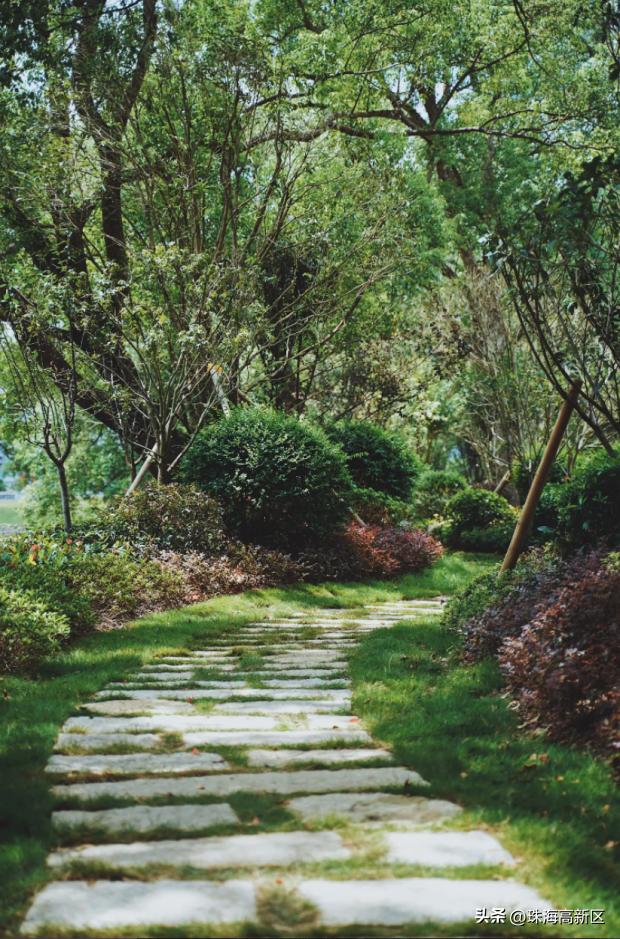 珠海十大古村排名,厉害珠海这个古村再获国字号荣誉