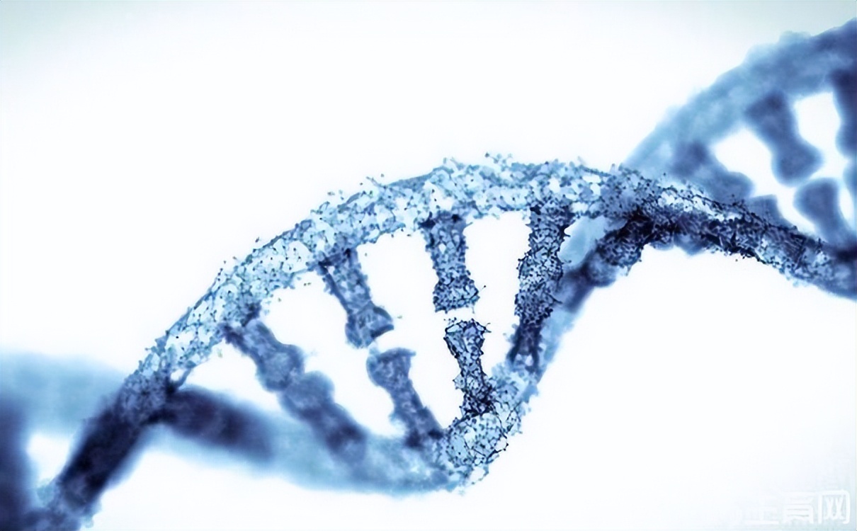 胃肠息肉切了又长，防治磨人的小妖精，6大要素，快拿小本记下来