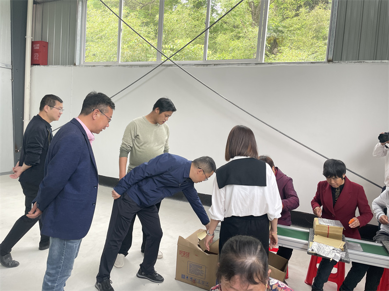 助力乡村产业振兴一直在路上,石台乡村振兴产业发展有限公司