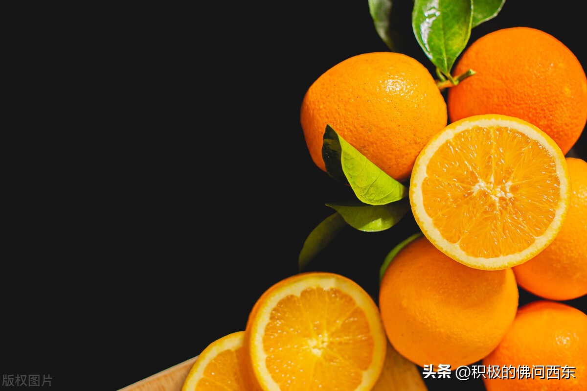 写小说取名素材大全集,第一章全是名字的小说