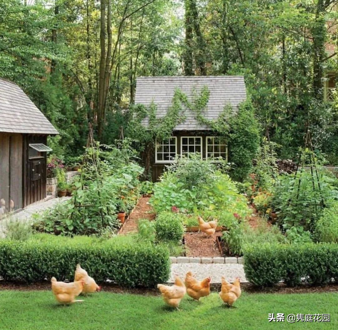 院子的生活才美好,一个装满生活气息的院子